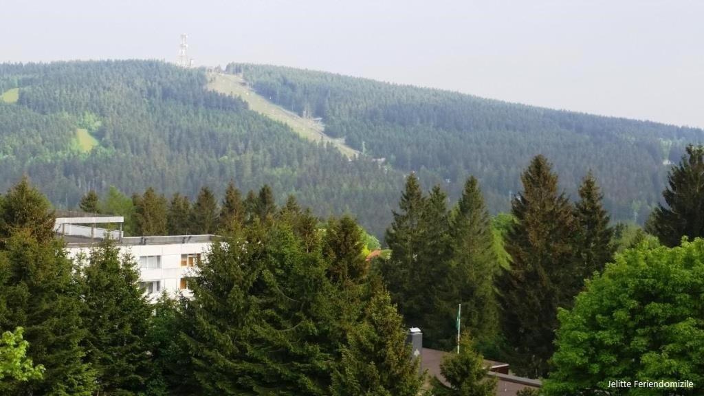 App 507 Bocksbergblick Im Ferienpark Hahnenklee Haus 1 Goslar Eksteriør bilde