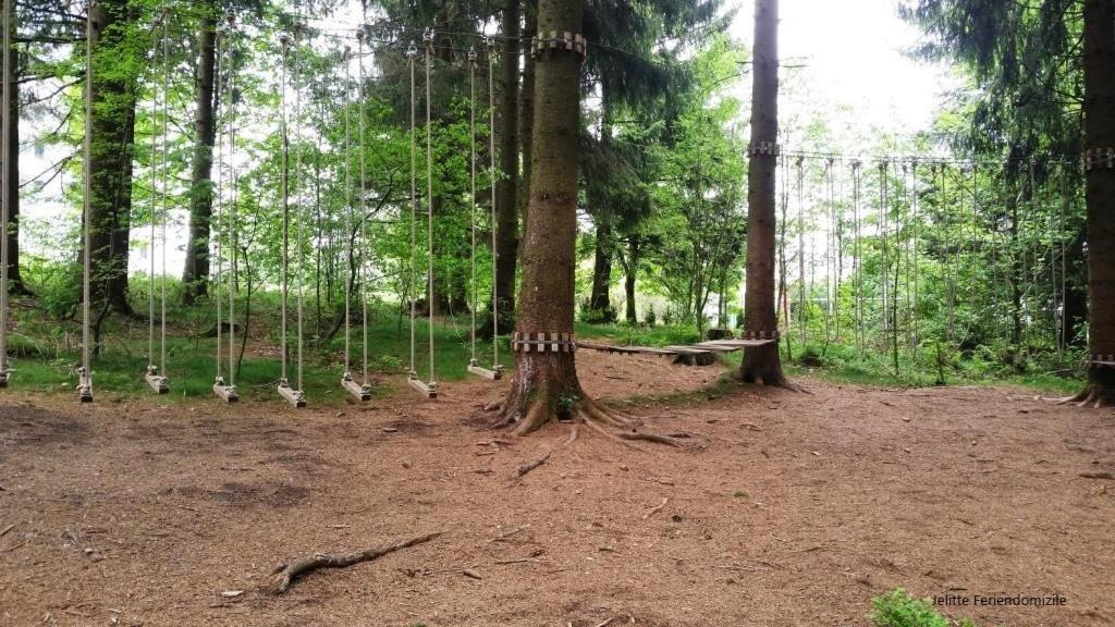App 507 Bocksbergblick Im Ferienpark Hahnenklee Haus 1 Goslar Eksteriør bilde